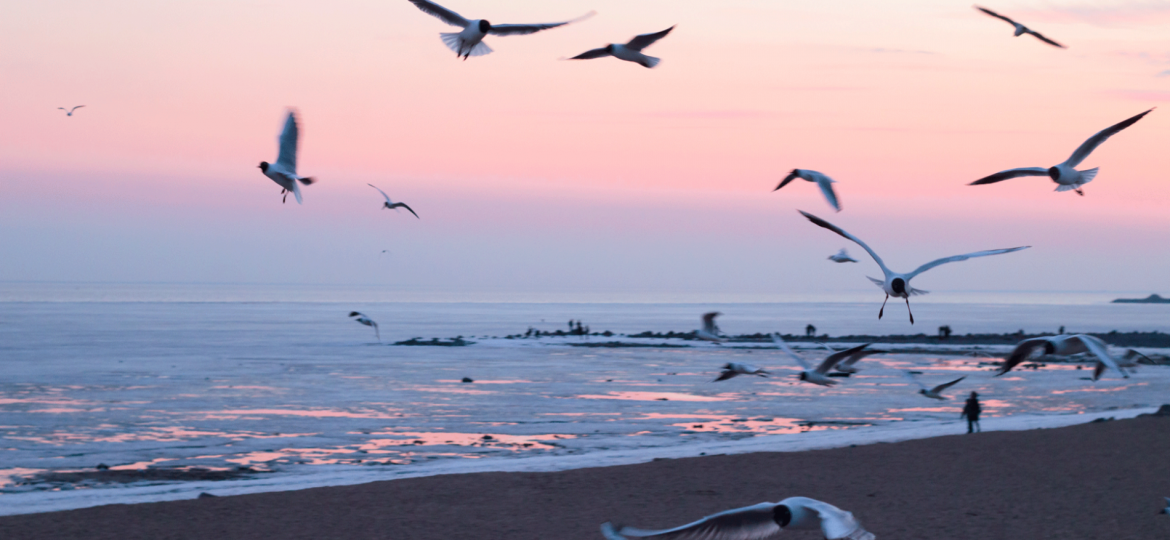 39692-thegem-featured-post-slide-fullwidth (Demo)